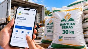 Cek Bansos Beras 30 Kg Oktober-Desember 2026 Online, Begini Caranya