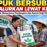 Pupuk Bersubsidi Disalurkan Lewat KDMP, Simak Mekanisme Pembagian dan Syarat bagi Petani