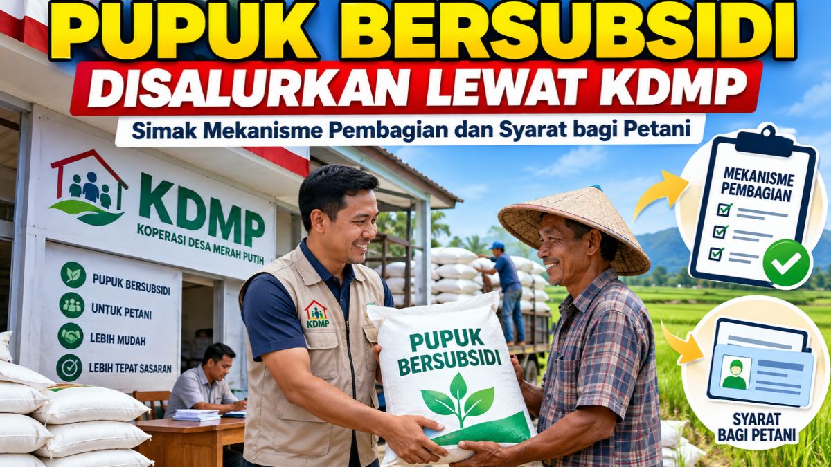 Pupuk Bersubsidi Disalurkan Lewat KDMP, Simak Mekanisme Pembagian dan Syarat bagi Petani